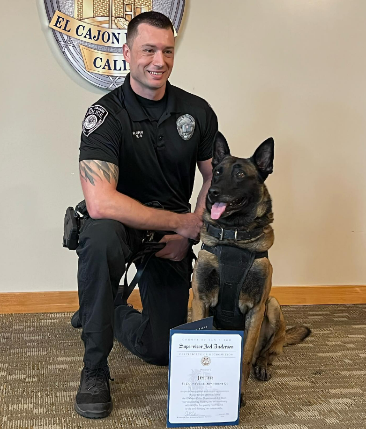 Malinois dog best sale police k9